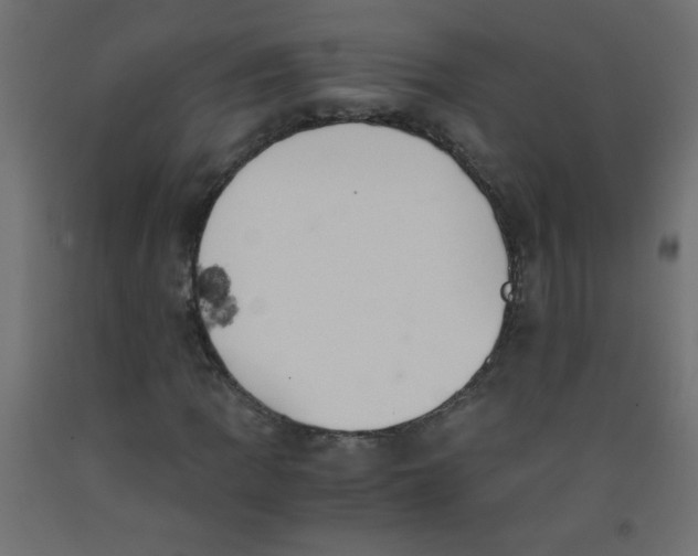 X0000092291109200710121428