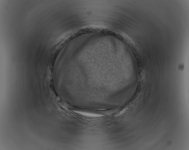 X0000092291110200710121428