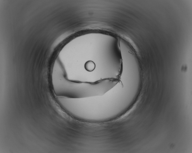 X0000092291114200710121428