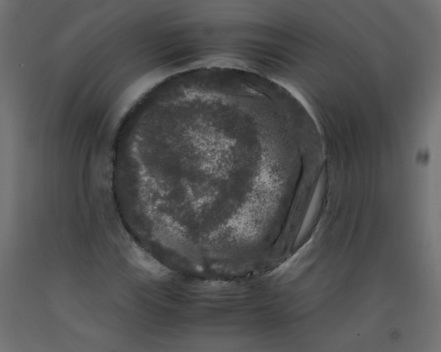 X0000092291115200710121428