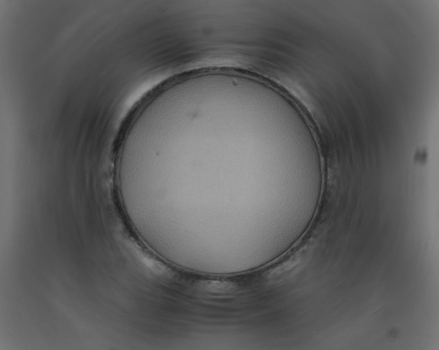 X0000092291119200710121428