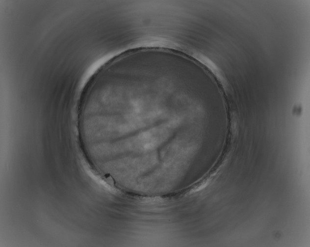 X0000092291120200710121428