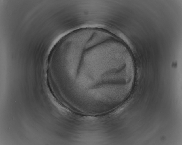 X0000092291124200710121428