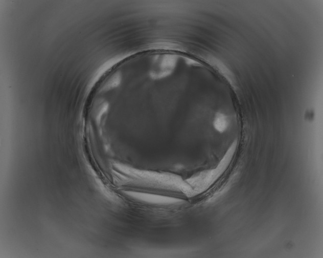 X0000092291125200710121428