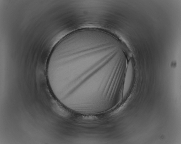 X0000092291129200710121428