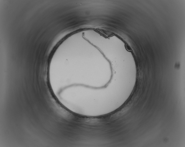 X0000092291131200710121428