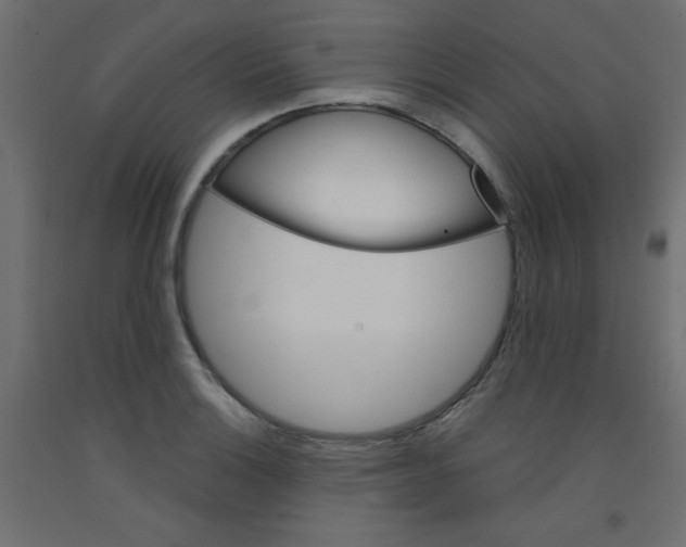 X0000092291132200710121428