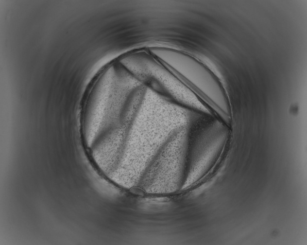 X0000092291133200710121428