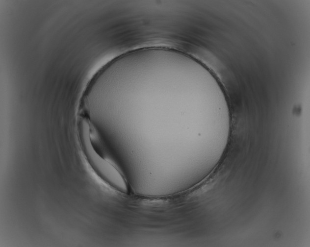 X0000092291135200710121428