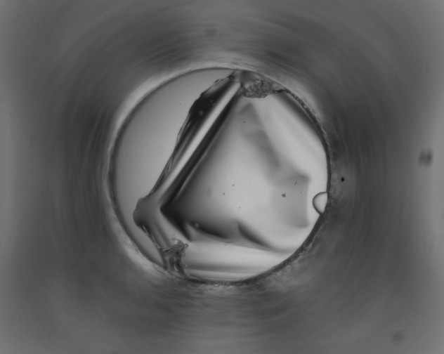 X0000092291136200710121428