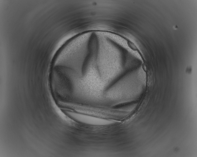 X0000092291139200710121428