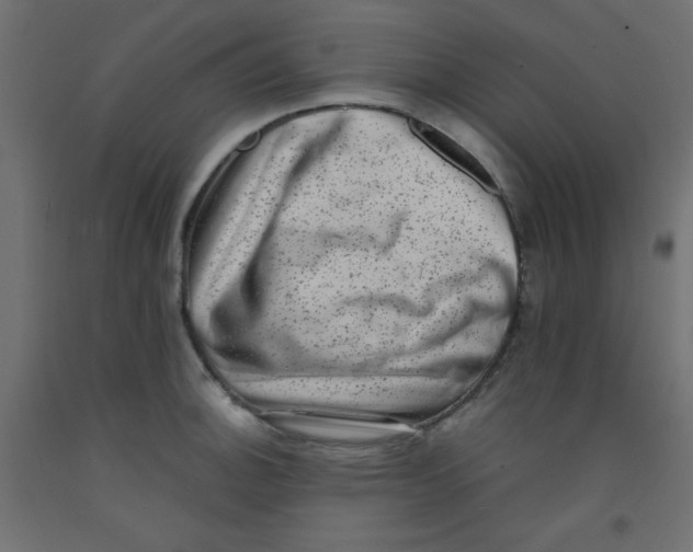 X0000092291140200710121428