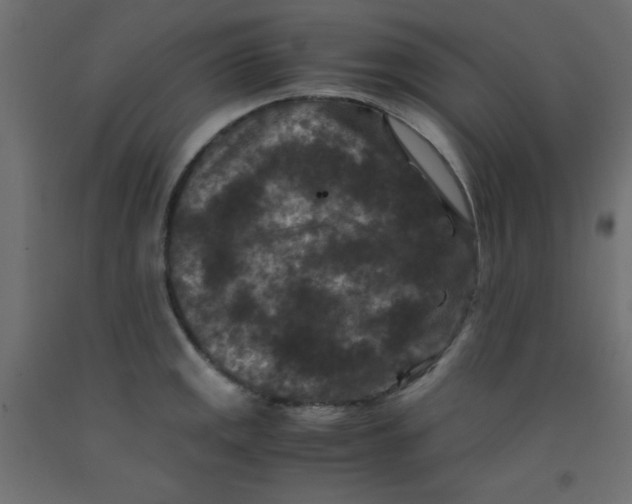 X0000092291141200710121428