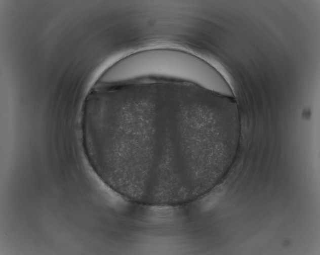 X0000092291142200710121428