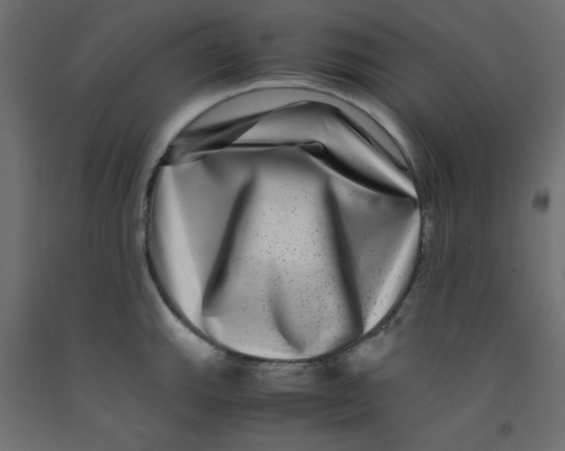 X0000092291143200710121429