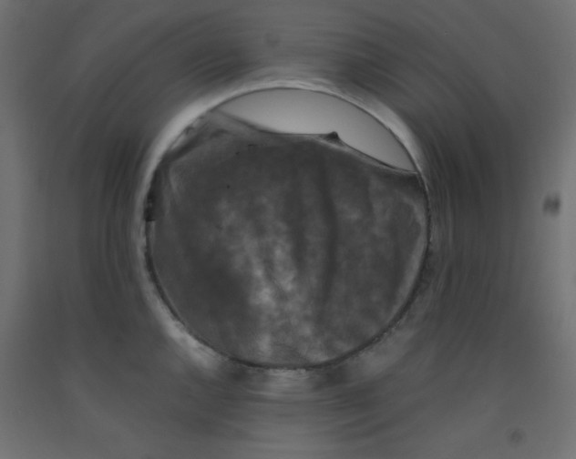 X0000092291144200710121429