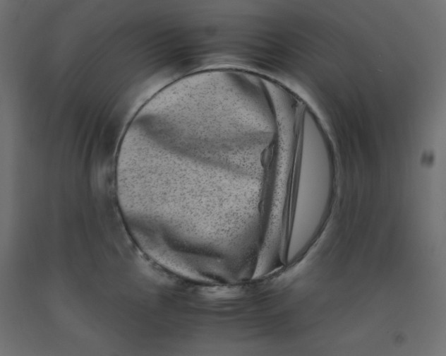 X0000092291145200710121429