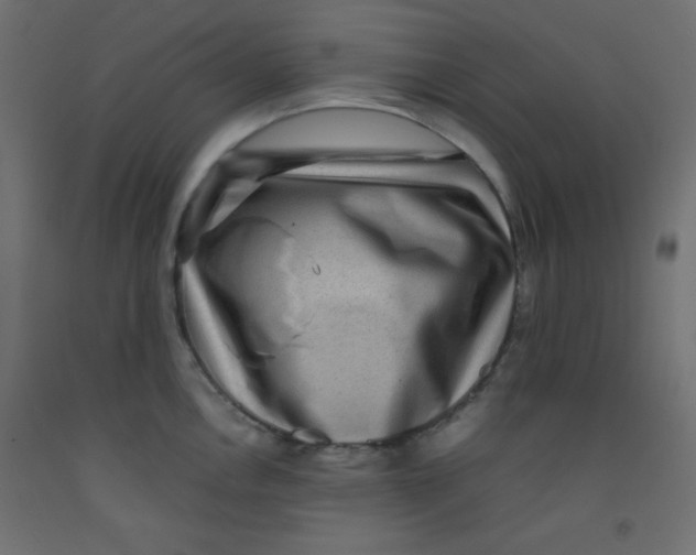 X0000092291146200710121429