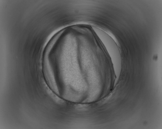 X0000092291148200710121429