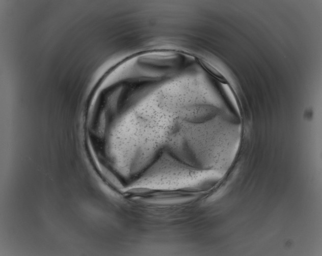 X0000092291149200710121429