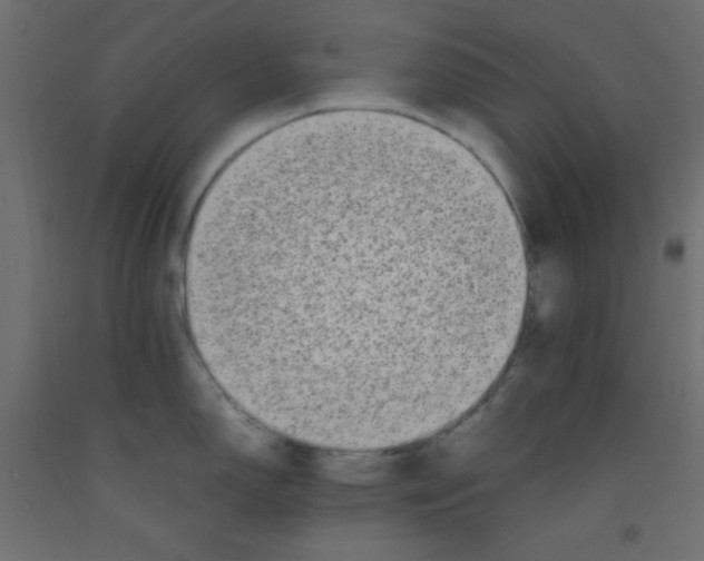 X0000092291150200710121429