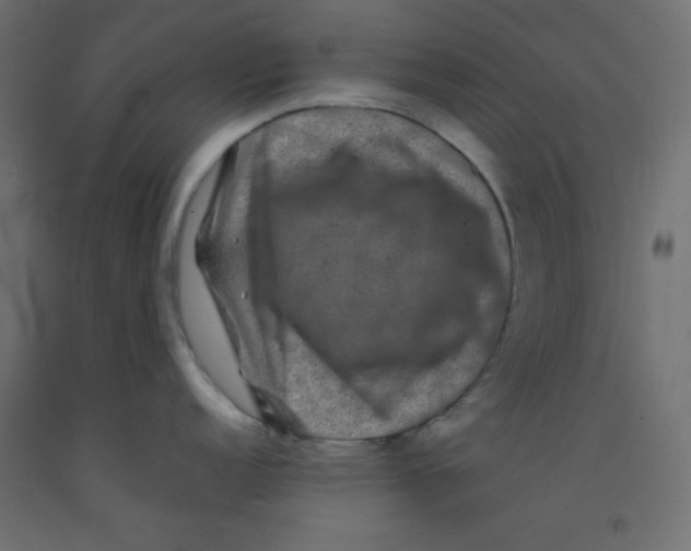 X0000092291152200710121429