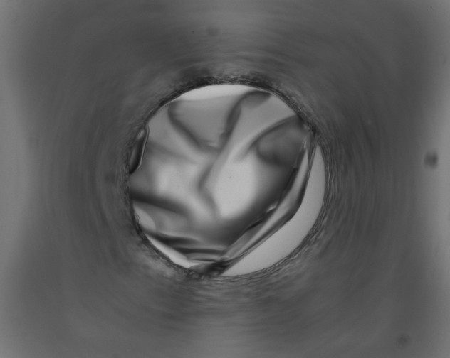 X0000092291153200710121428