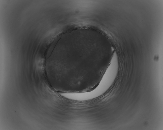 X0000092291156200710121428