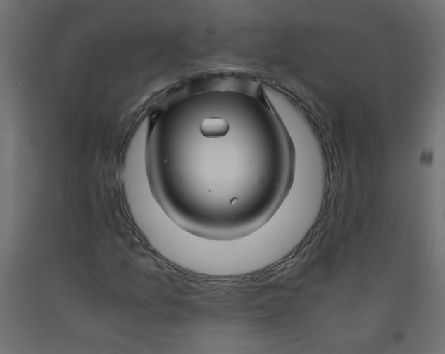 X0000092291157200710121428