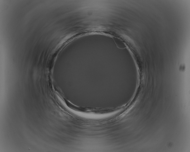 X0000092291161200710121428