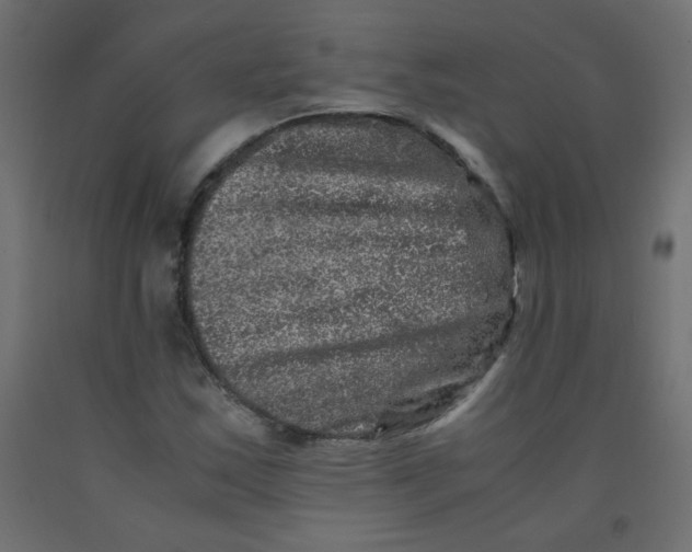 X0000092291163200710121428