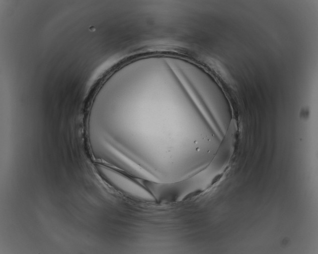 X0000092291164200710121428