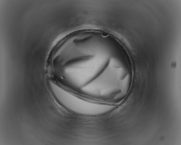 X0000092291168200710121428