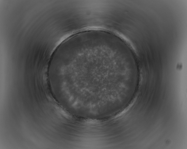 X0000092291170200710121428