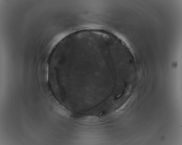 X0000092291171200710121428