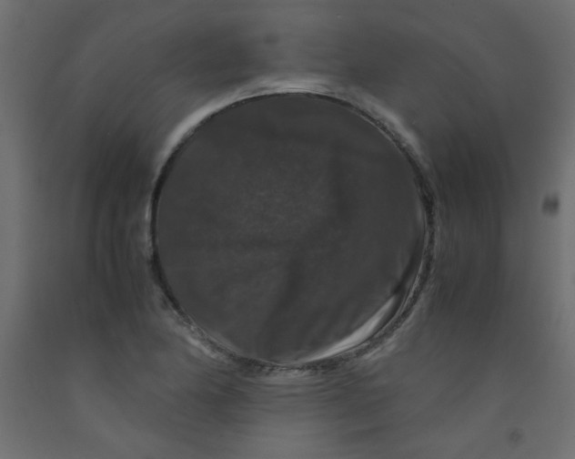 X0000092291174200710121428