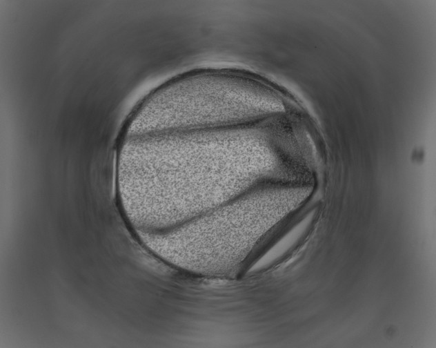 X0000092291175200710121428