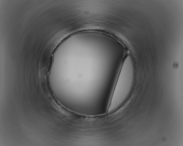 X0000092291177200710121428