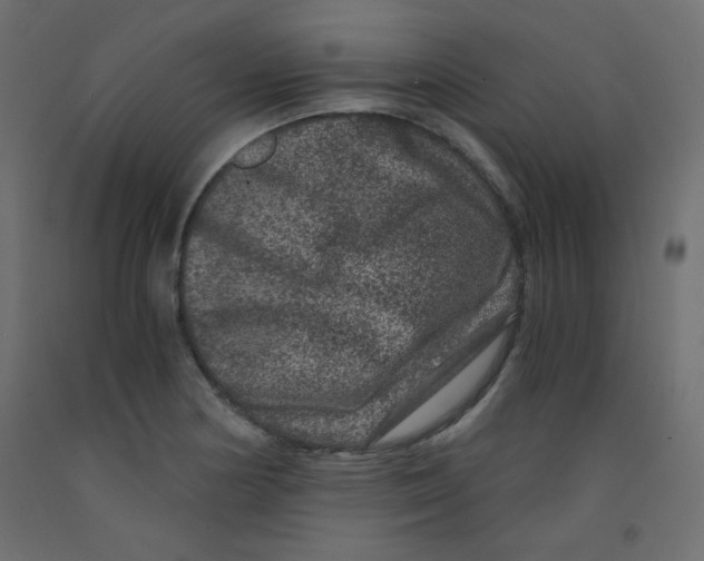 X0000092291178200710121428