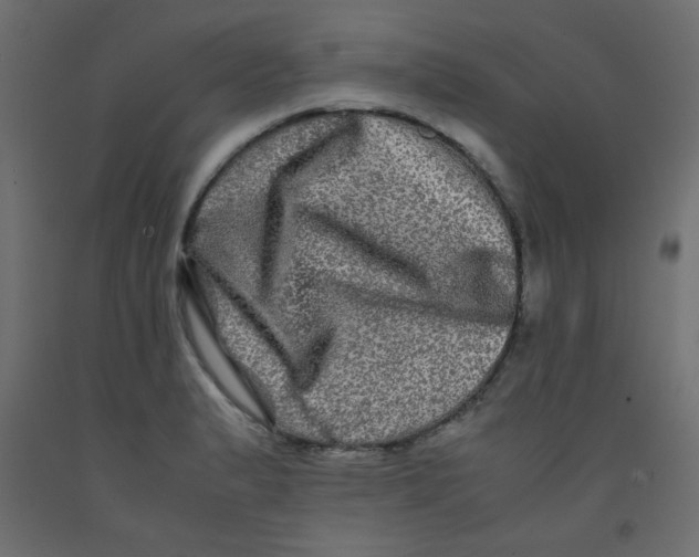 X0000092291183200710121428