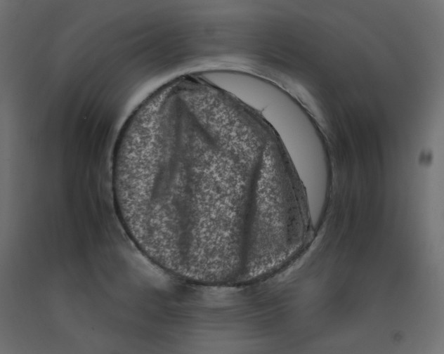 X0000092291184200710121428