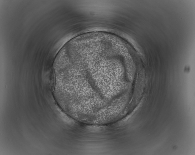 X0000092291185200710121428