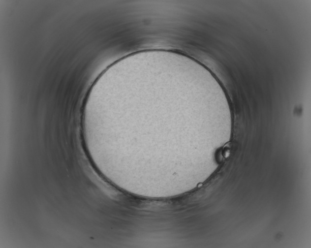 X0000092291187200710121428