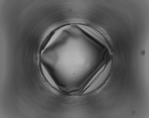 X0000092291188200710121428