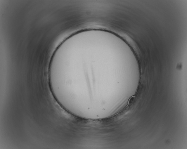 X0000092291191200710121428