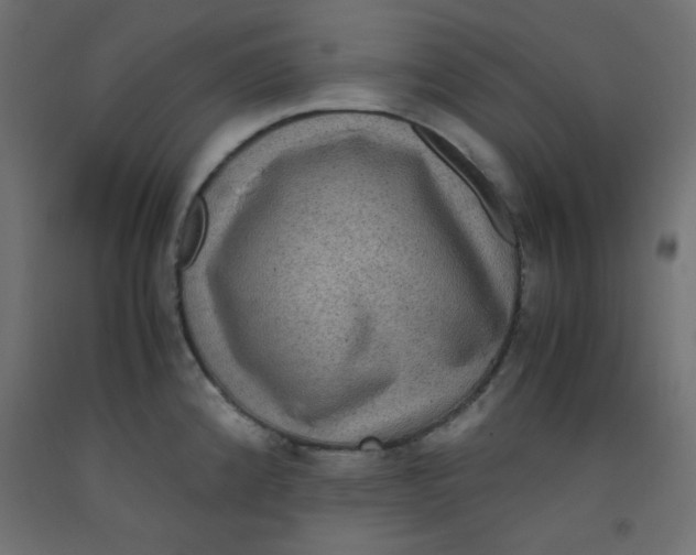 X0000092291192200710121428