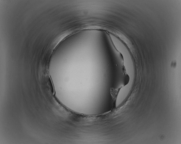 X0000092291193200710121428