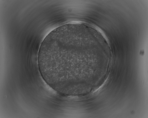 X0000092291194200710121428