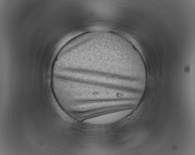 X0000092291195200710121428