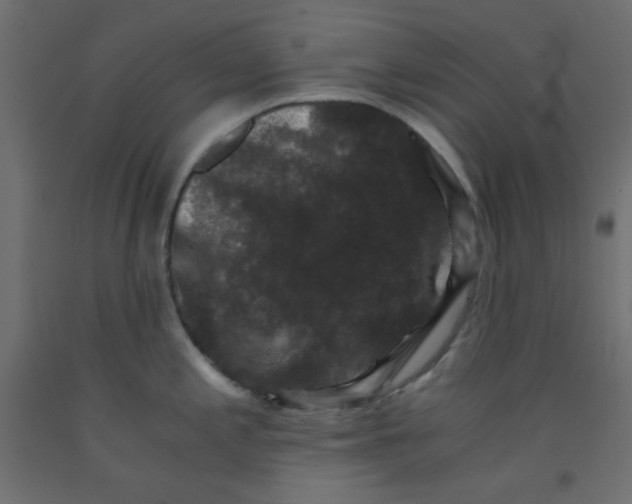 X0000092291197200710121427